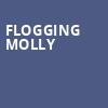 Flogging Molly, The Sylvee, Madison