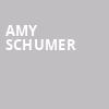 Amy Schumer, Orpheum Theatre, Madison