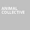 Animal Collective, Majestic Theatre, Madison